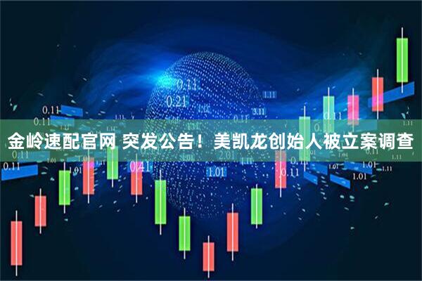 金岭速配官网 突发公告！美凯龙创始人被立案调查