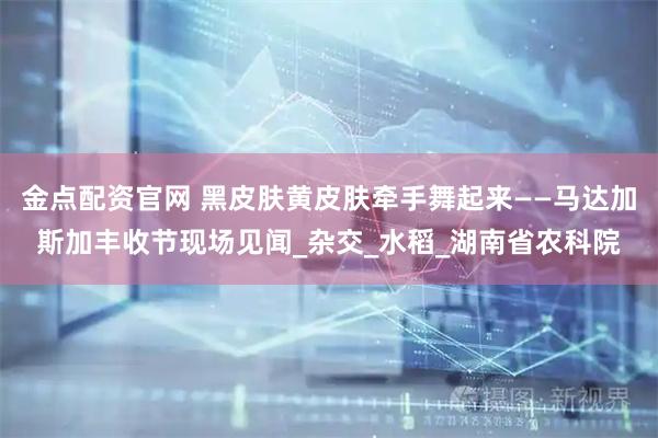 金点配资官网 黑皮肤黄皮肤牵手舞起来——马达加斯加丰收节现场见闻_杂交_水稻_湖南省农科院