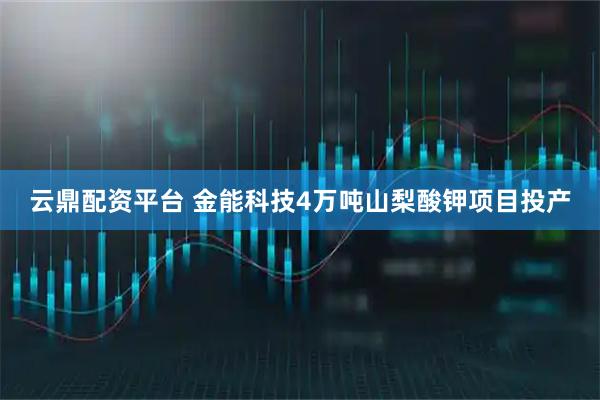 云鼎配资平台 金能科技4万吨山梨酸钾项目投产